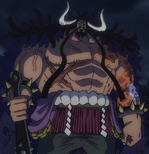 what is kaido's race|how heavy is kaido.